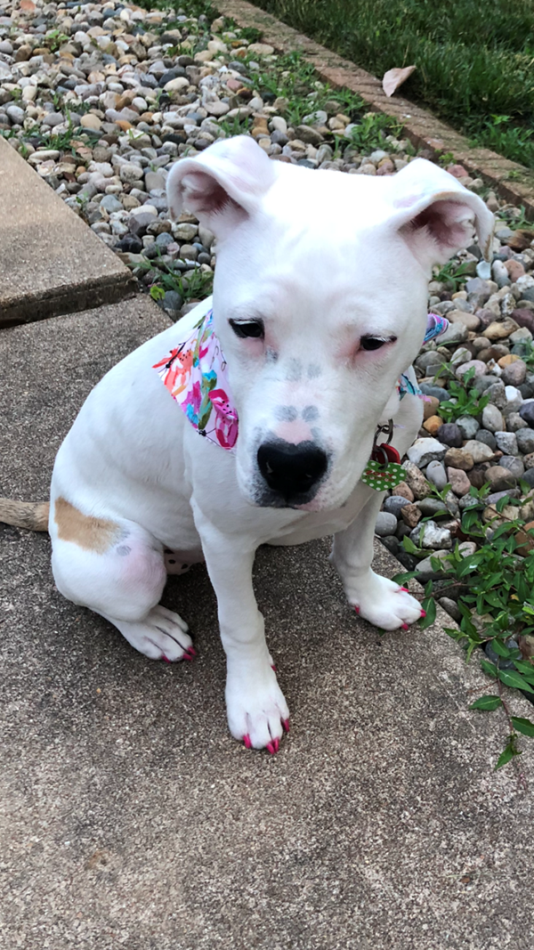 Princess Zoey